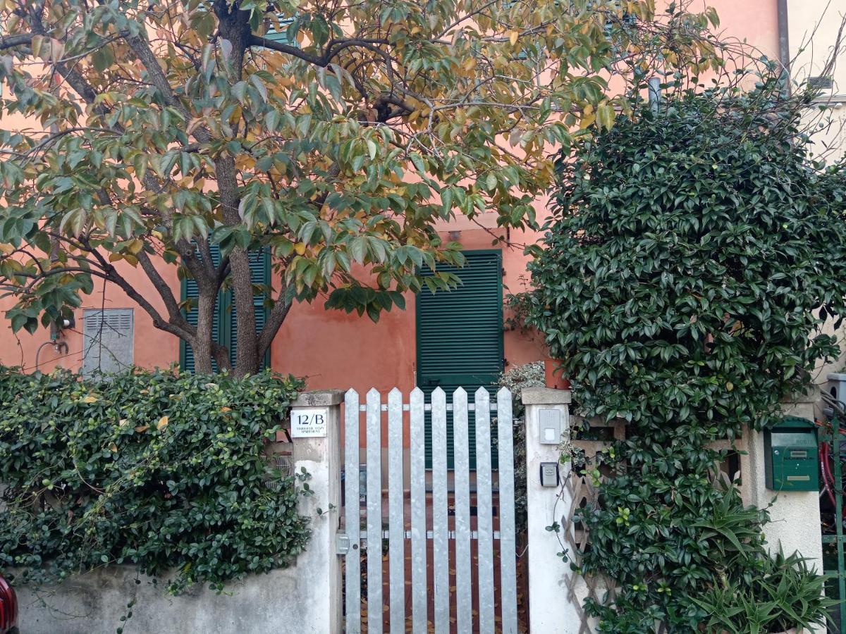 Maioliche Cozy Apartment Pisa Buitenkant foto